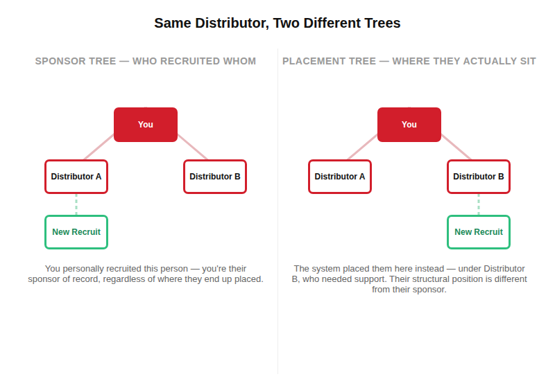Sponsor vs Placement Tree Diagram