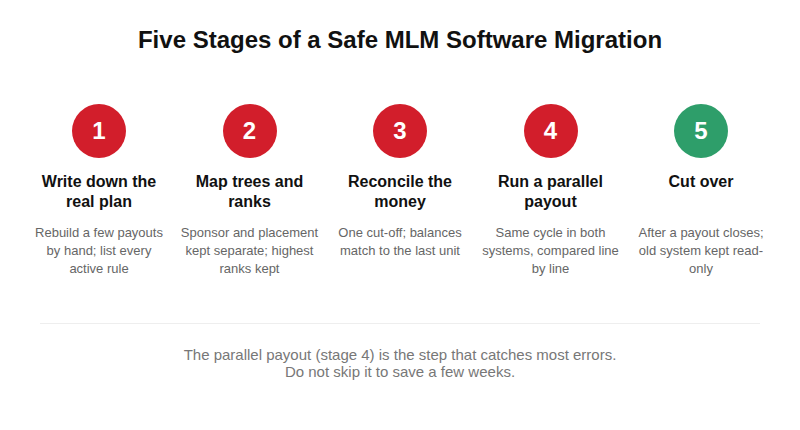 Five stages of a safe MLM software migration: real plan, trees and ranks, wallets, parallel payout, cutover