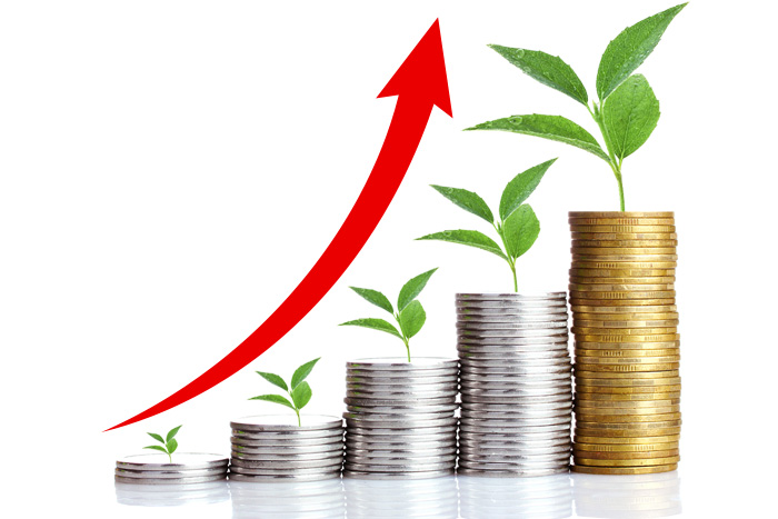 Digging about Growth Multi-Level Marketing Plan